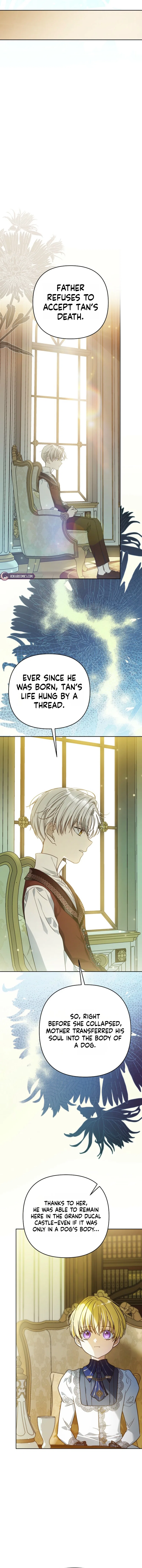 En Travesti: I Became a Fake Prince Chapter 16 – Page 19