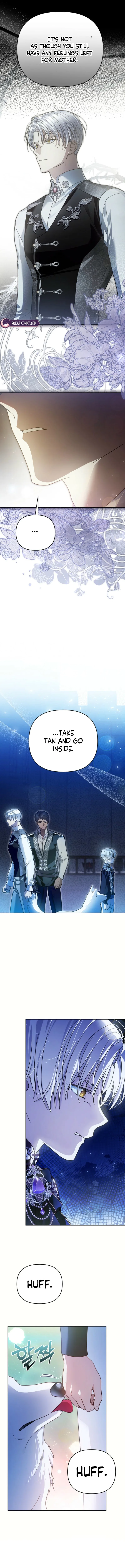 En Travesti: I Became a Fake Prince Chapter 5 – Page 5