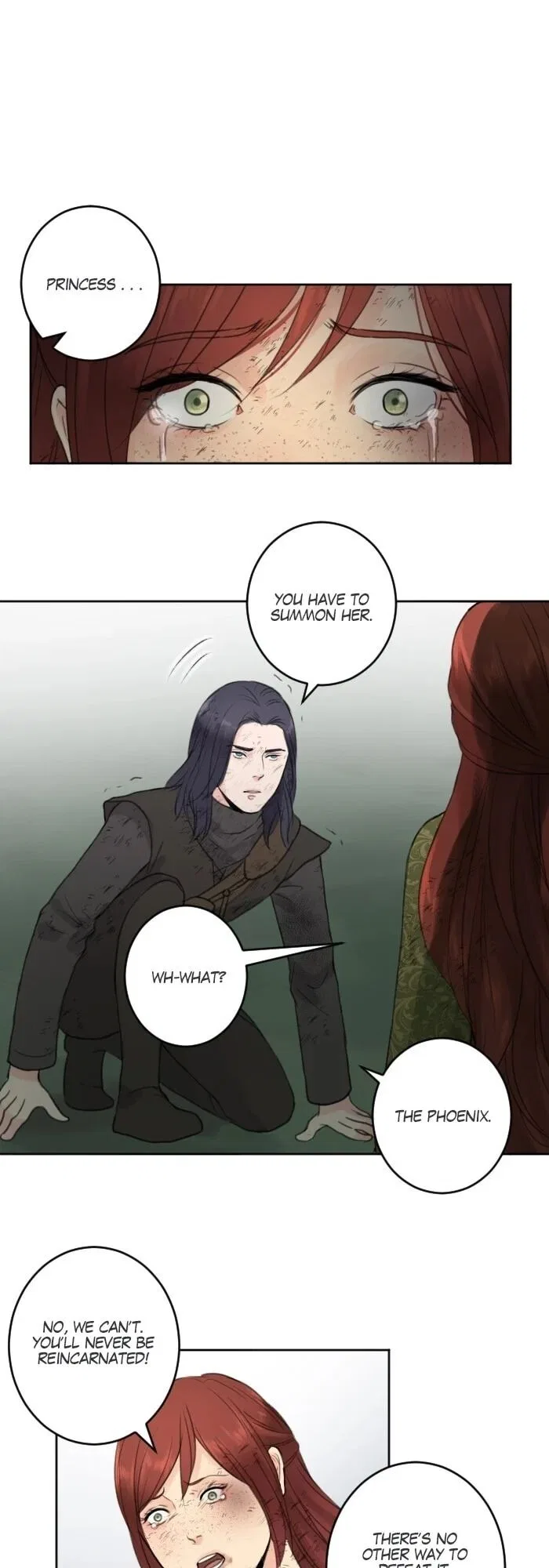 Prince Of Silk And Thorn Chapter 49 – Page 14
