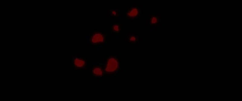KILLMAX Chapter 36 – Page 72