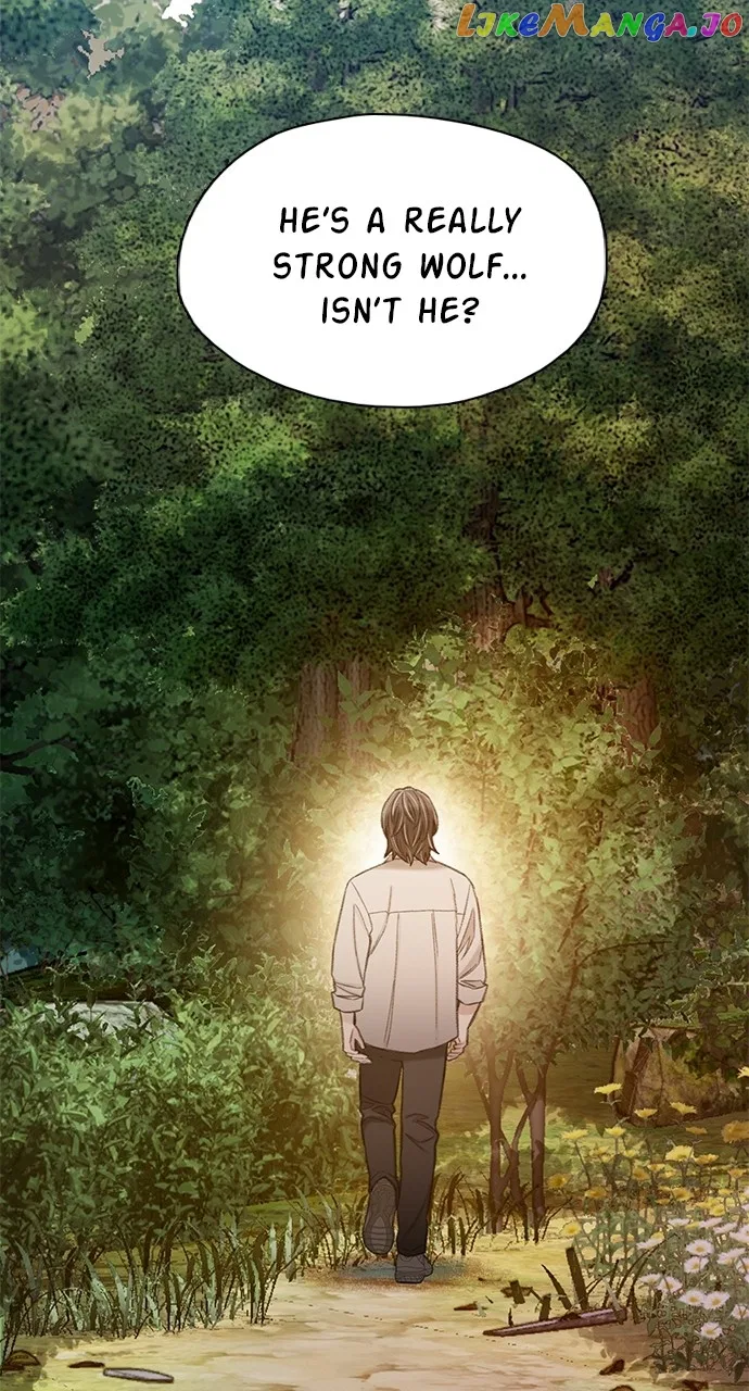 Dark Moon: The Grey City Chapter 52 – Page 43