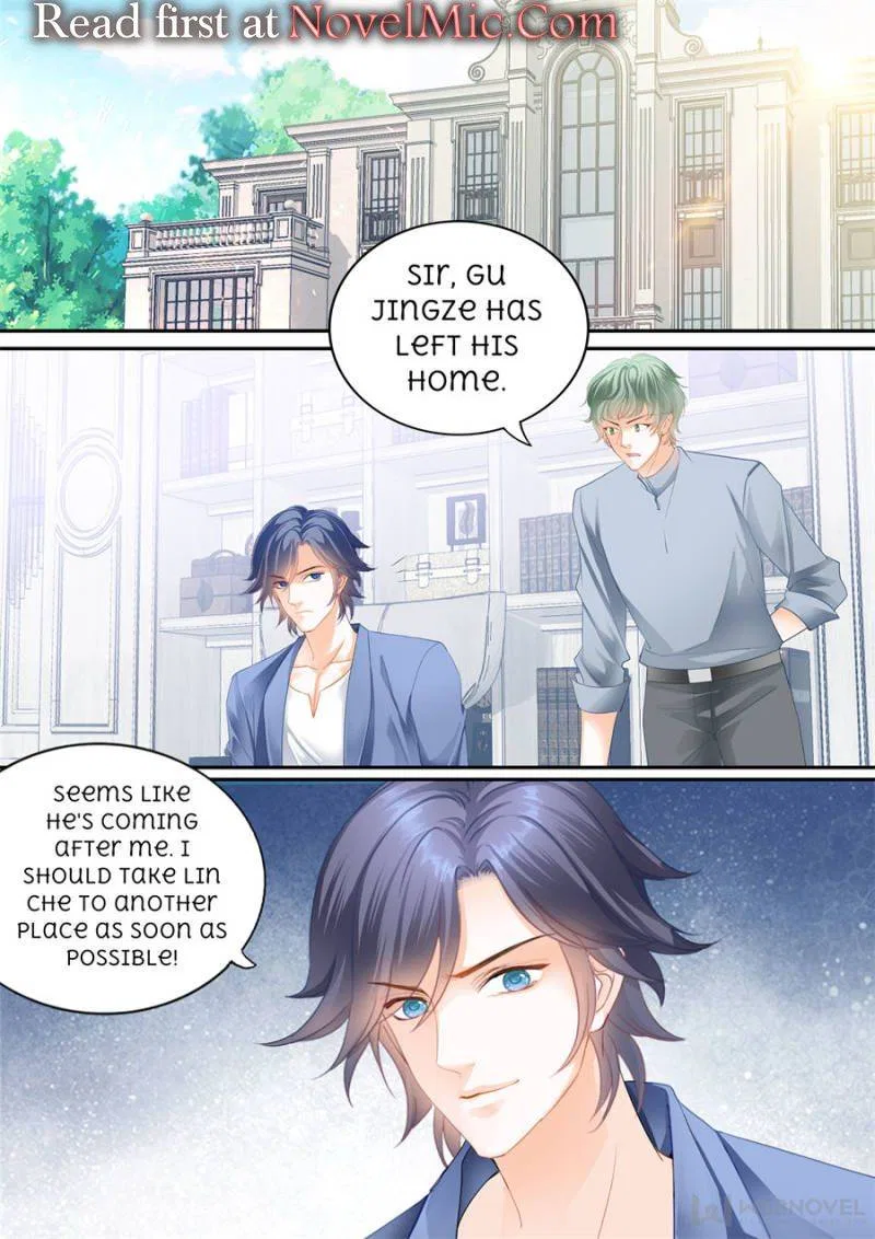 The Beautiful Wife of the Whirlwind Marriage Chapter 312 – Page 1