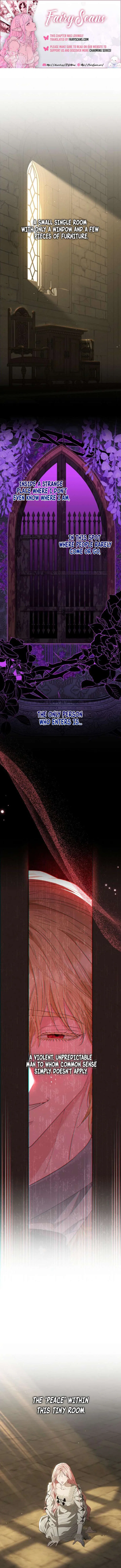 Dear Villainous Husband , the One to be Obsessed with is Over There Chapter 71 – Page 1