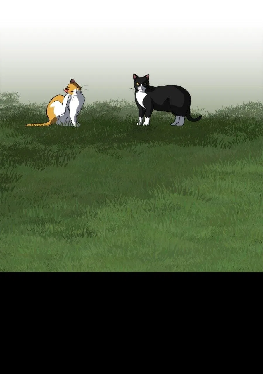 Blinded by the Setting Sun Chapter 228 – Page 41