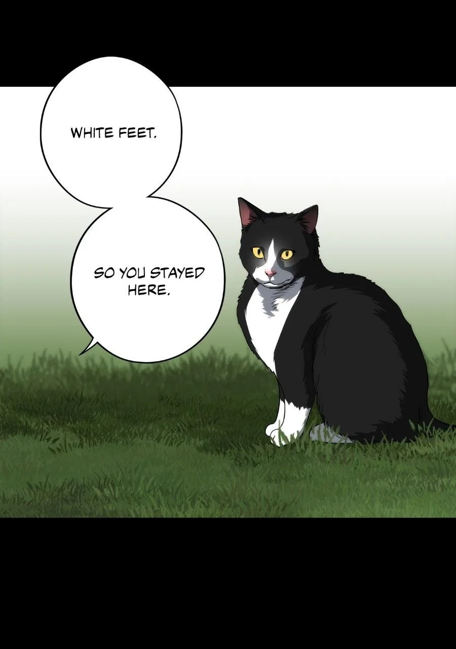 Blinded by the Setting Sun Chapter 228 – Page 42