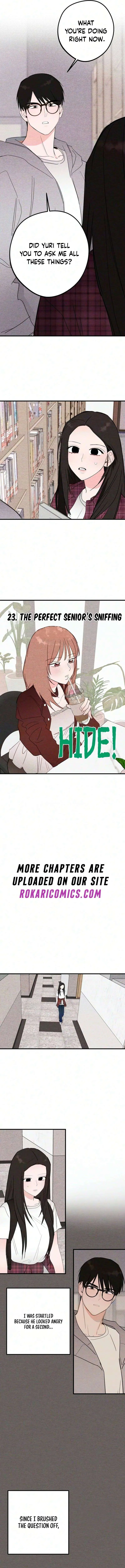 The Perfect Senior’s Secret! Chapter 23 – Page 2