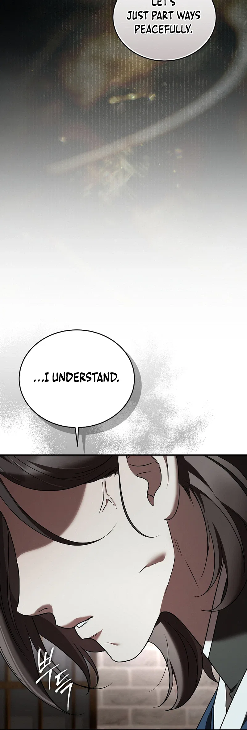 SSS-Class Regressor Has No Conscience Chapter 25 – Page 30