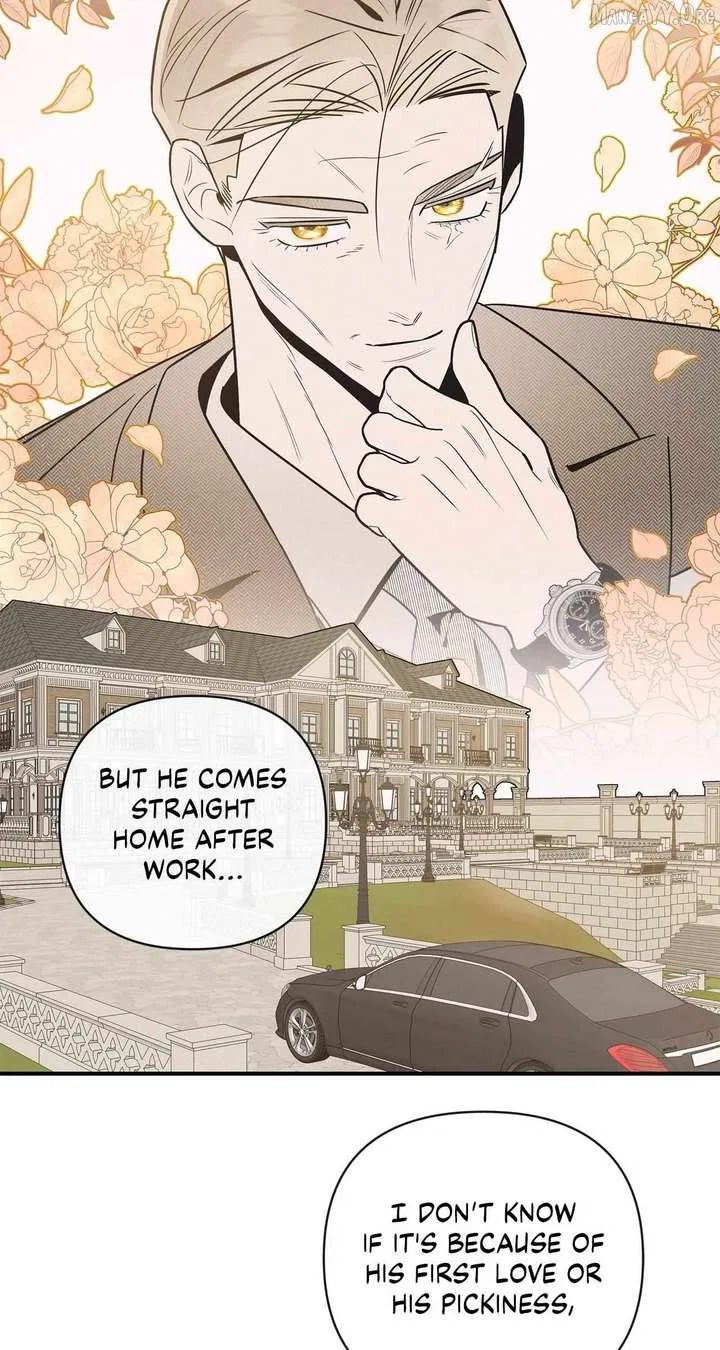 My Younger Sister Chooses Me Tonight Chapter 47 – Page 26