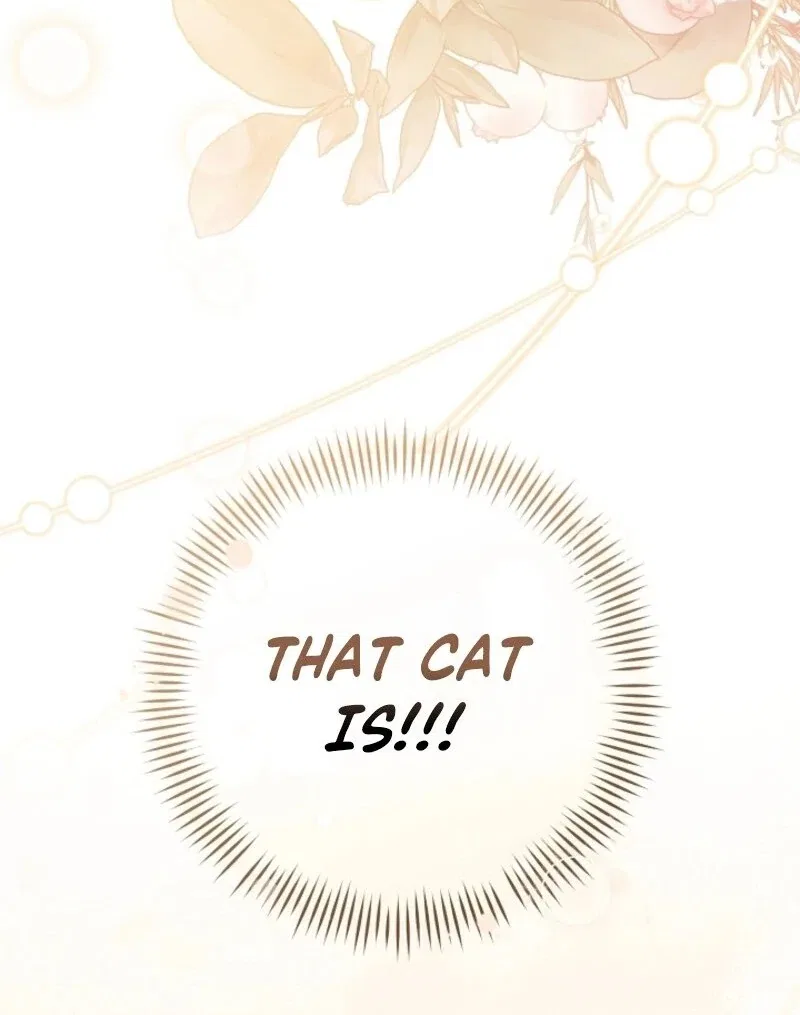 My Dream is to Get My Own House Chapter 37 – Page 137