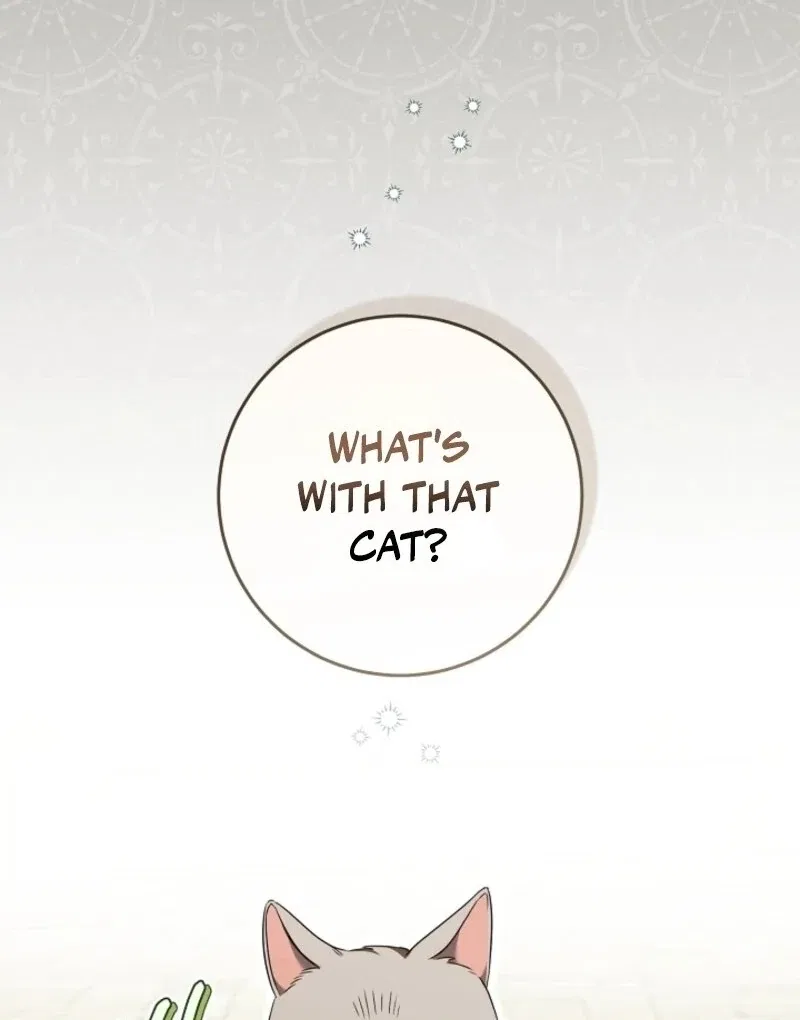My Dream is to Get My Own House Chapter 35 – Page 13