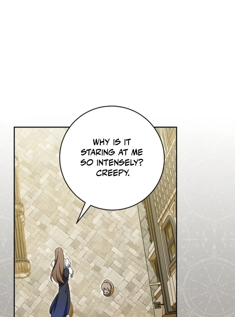 My Dream is to Get My Own House Chapter 35 – Page 15