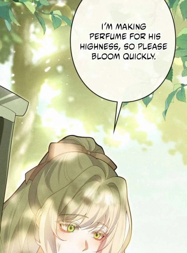 Banished Mother, Desired by the Crown Prince Chapter 11 – Page 15