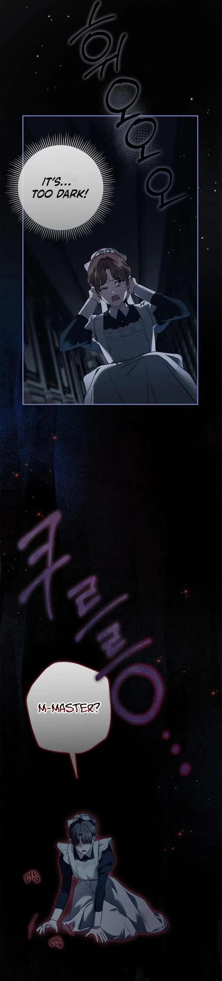 The Count’s Secret Maid Chapter 66 – Page 11