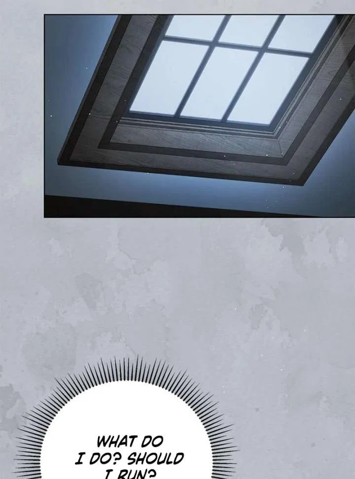 The Count’s Secret Maid Chapter 58 – Page 119