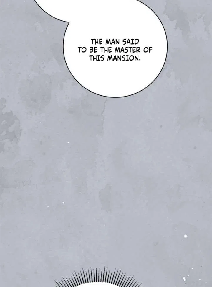 The Count’s Secret Maid Chapter 58 – Page 156