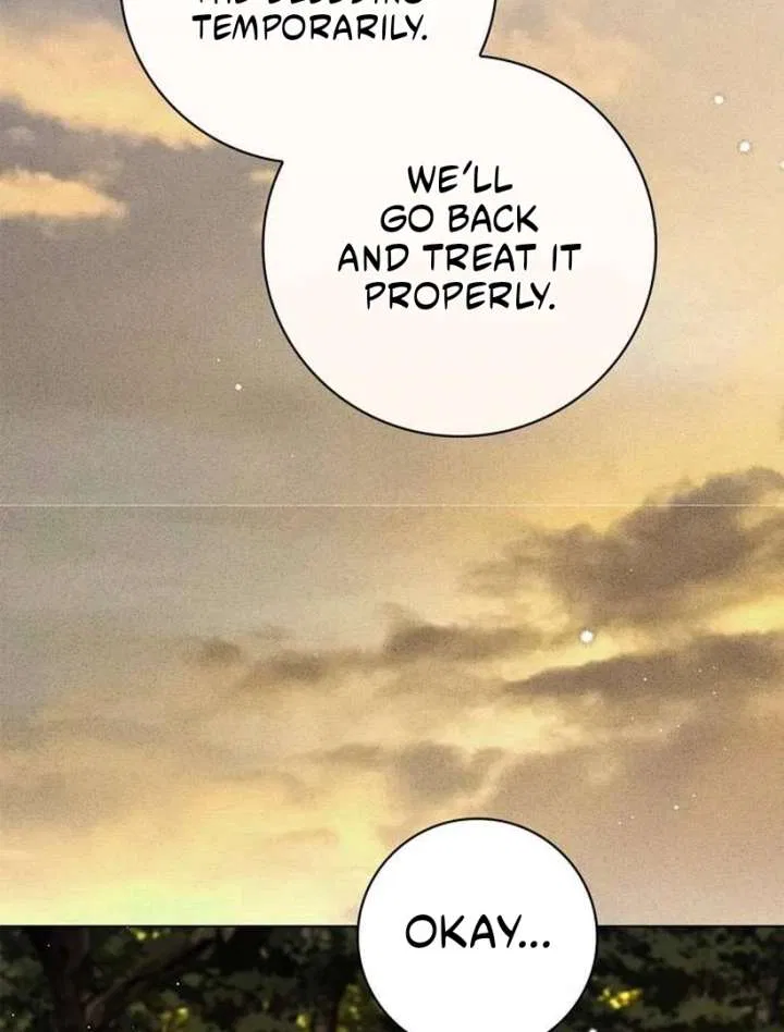 The Count’s Secret Maid Chapter 57 – Page 108