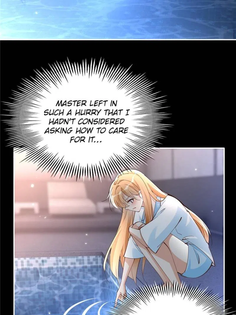 Reincarnation Of The Businesswoman At School Chapter 198 – Page 11