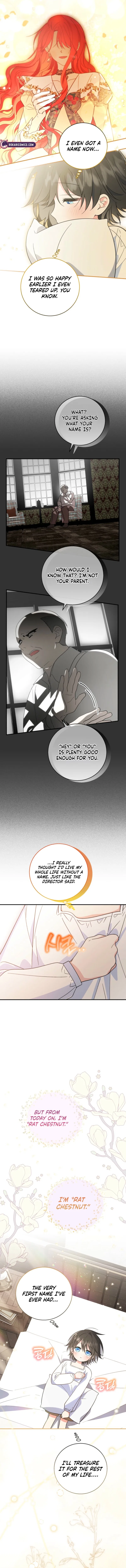 Adopting the Hero Changed the Genre Chapter 4 – Page 9