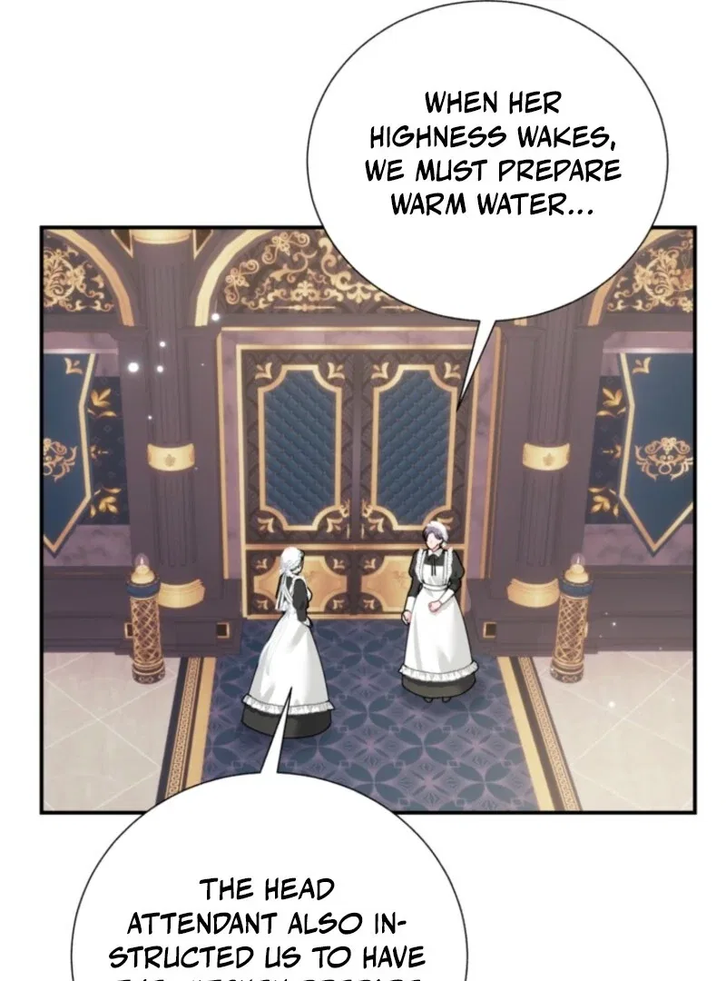The Falcon Princess Chapter 133 – Page 80