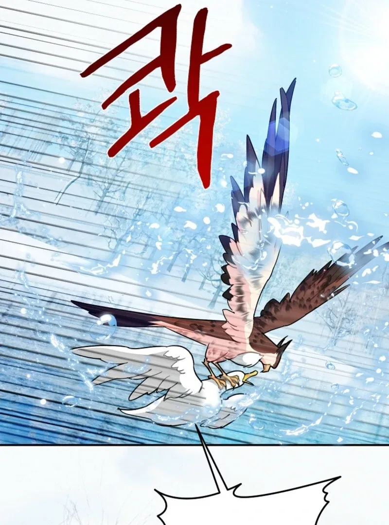 The Falcon Princess Chapter 128 – Page 43