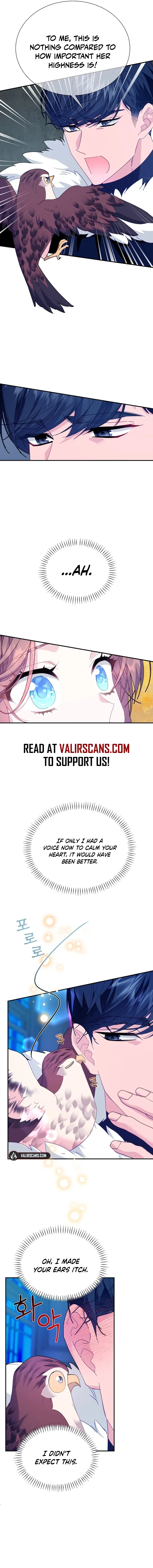 The Falcon Princess Chapter 115 – Page 10
