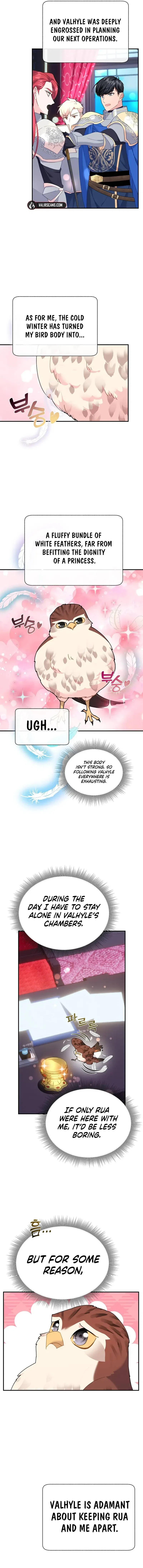 The Falcon Princess Chapter 111 – Page 11
