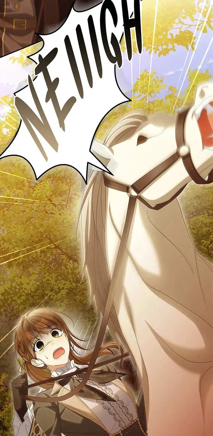 Why Are You Obsessed With Your Fake Wife? Chapter 65 – Page 5