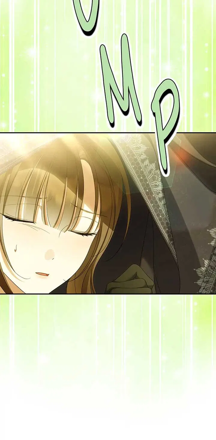 Why Are You Obsessed With Your Fake Wife? Chapter 65 – Page 13