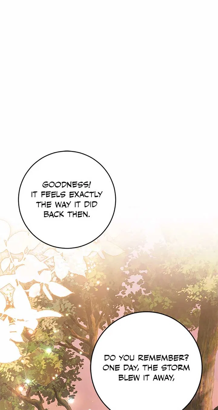 The Student Guardians Are Obsessed With Me Chapter 42 – Page 8
