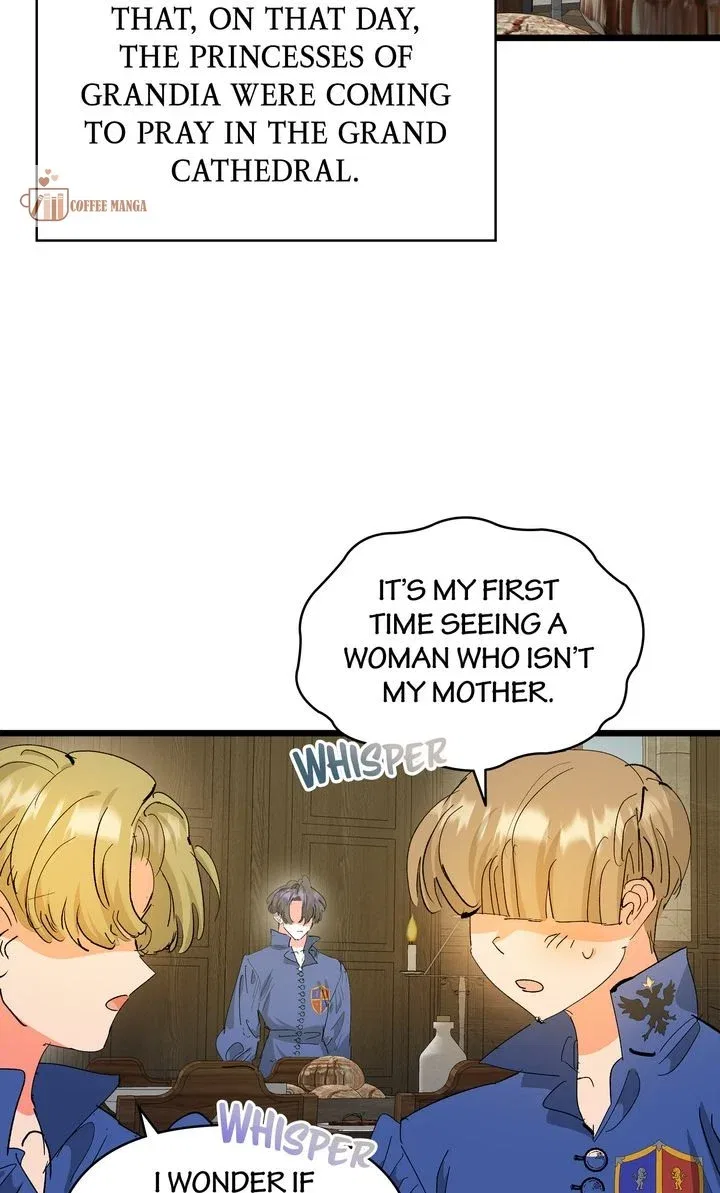 If You Want a Fake Sister Chapter 46 – Page 14