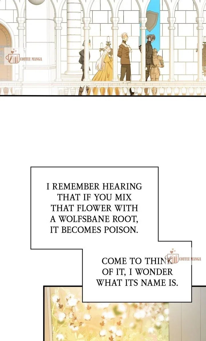 If You Want a Fake Sister Chapter 43 – Page 11