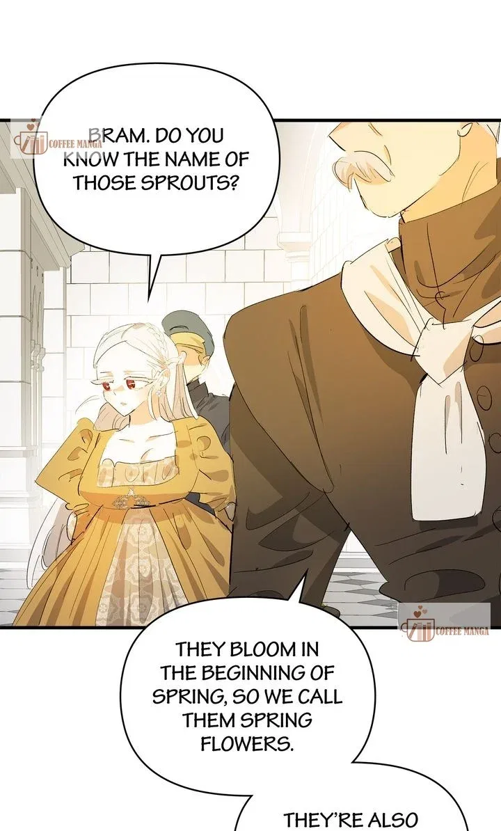 If You Want a Fake Sister Chapter 43 – Page 13