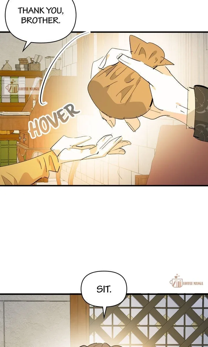 If You Want a Fake Sister Chapter 42 – Page 42