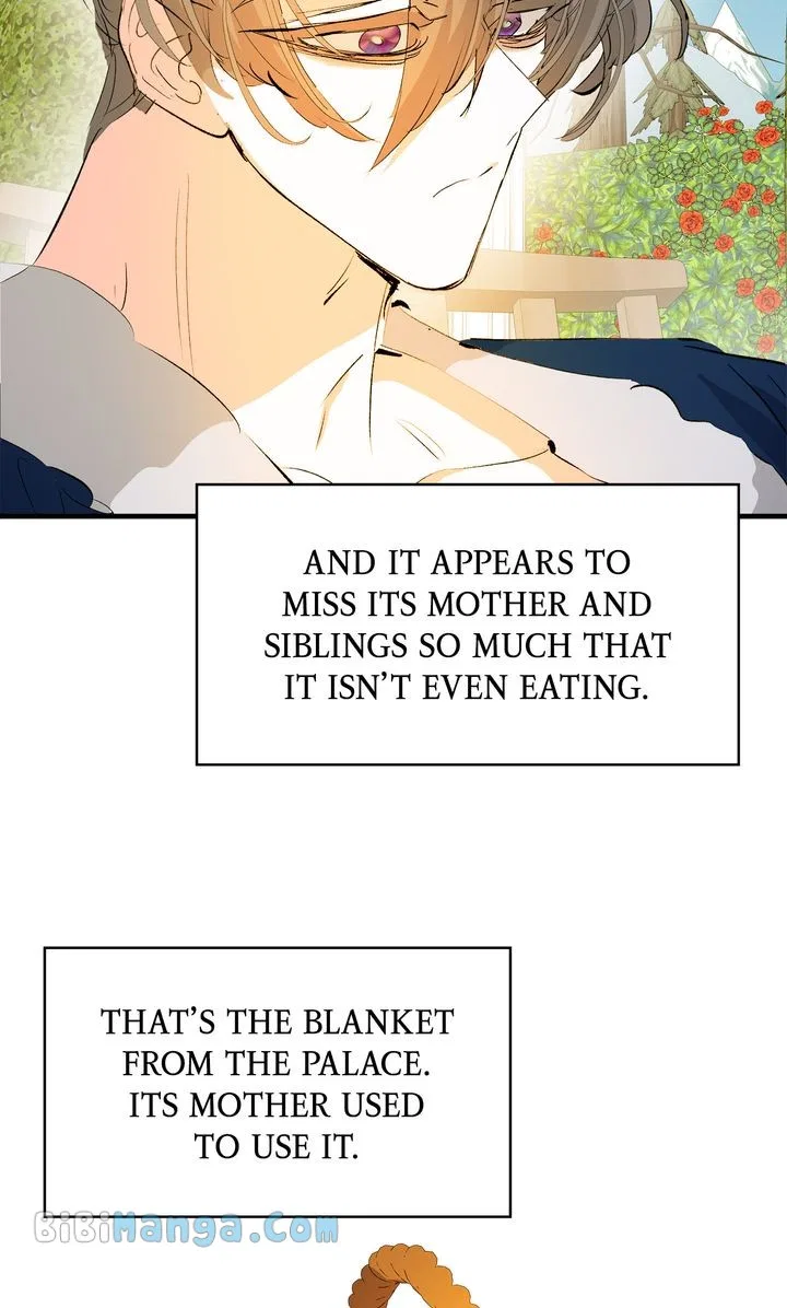If You Want a Fake Sister Chapter 31 – Page 23