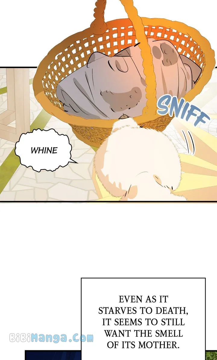 If You Want a Fake Sister Chapter 31 – Page 24