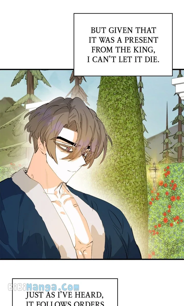 If You Want a Fake Sister Chapter 31 – Page 30