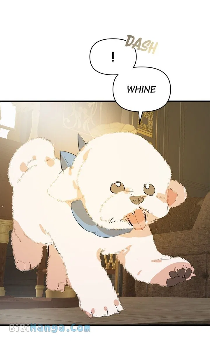 If You Want a Fake Sister Chapter 29 – Page 19