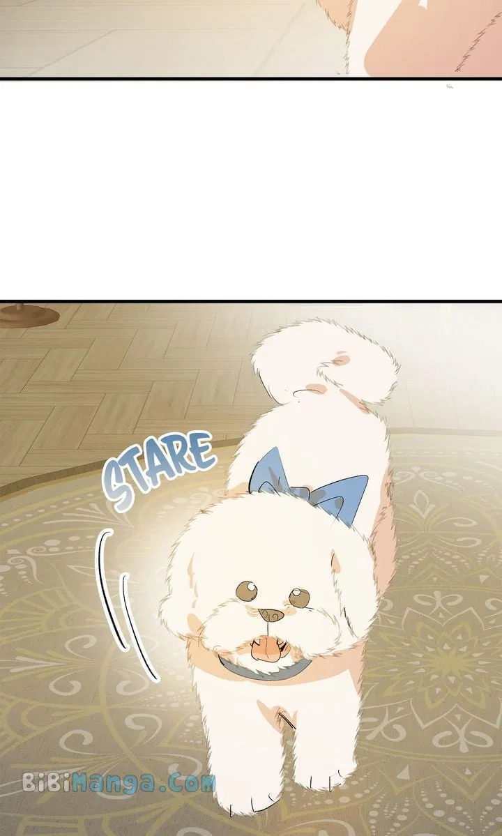 If You Want a Fake Sister Chapter 29 – Page 34
