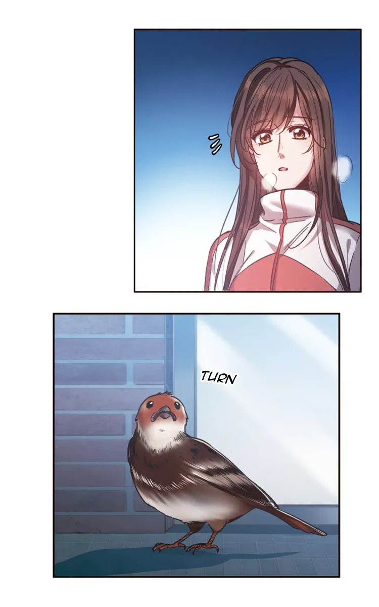 The brightest giant star in the world Chapter 15.2 – Page 12