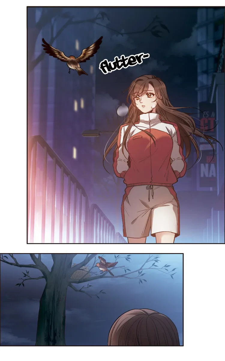 The brightest giant star in the world Chapter 15.2 – Page 13