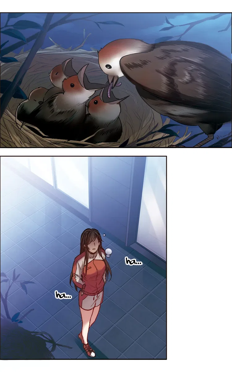 The brightest giant star in the world Chapter 15.2 – Page 14