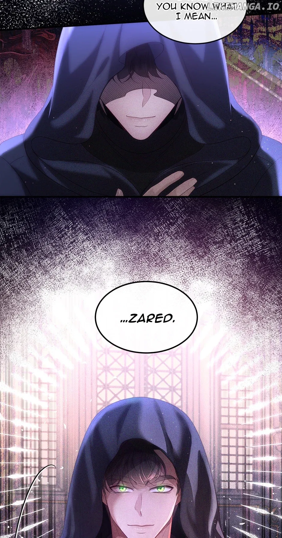 The Prince’s Personal Physician Chapter 67 – Page 13