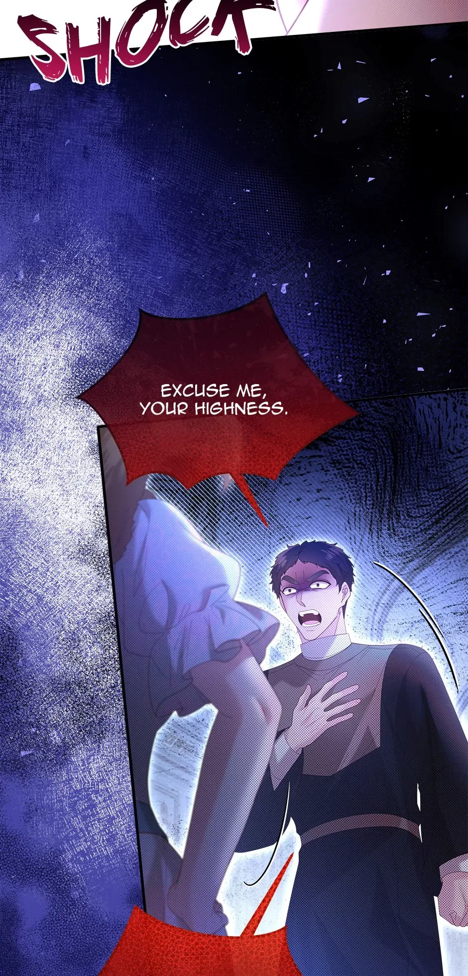 The Prince’s Personal Physician Chapter 63 – Page 12