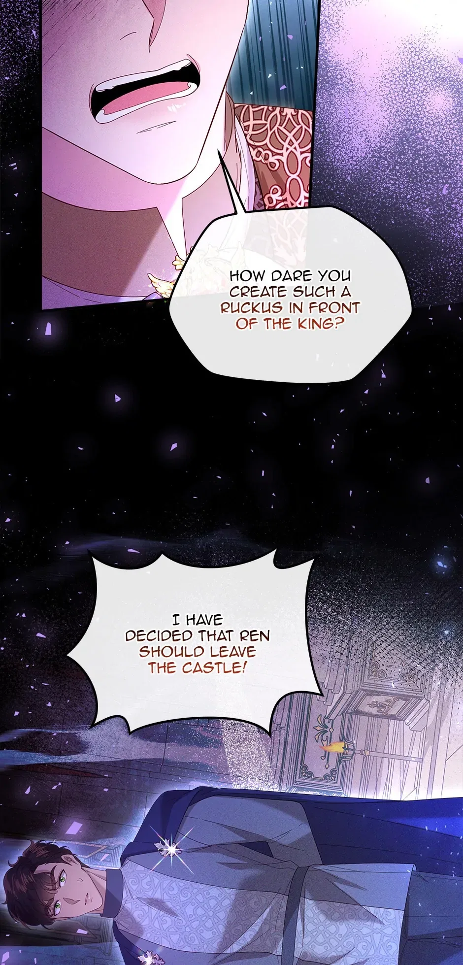 The Prince’s Personal Physician Chapter 62 – Page 10