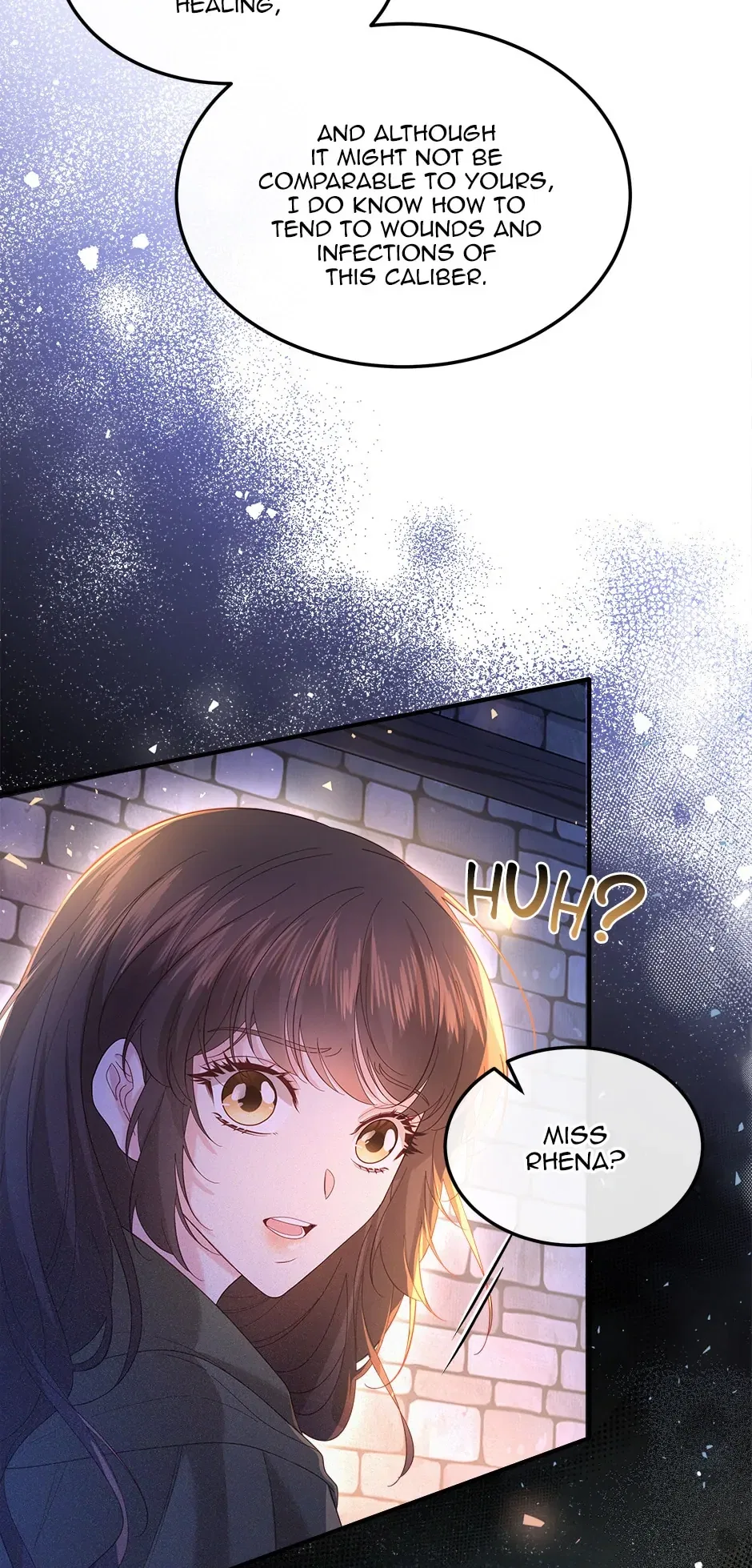 The Prince’s Personal Physician Chapter 60 – Page 3