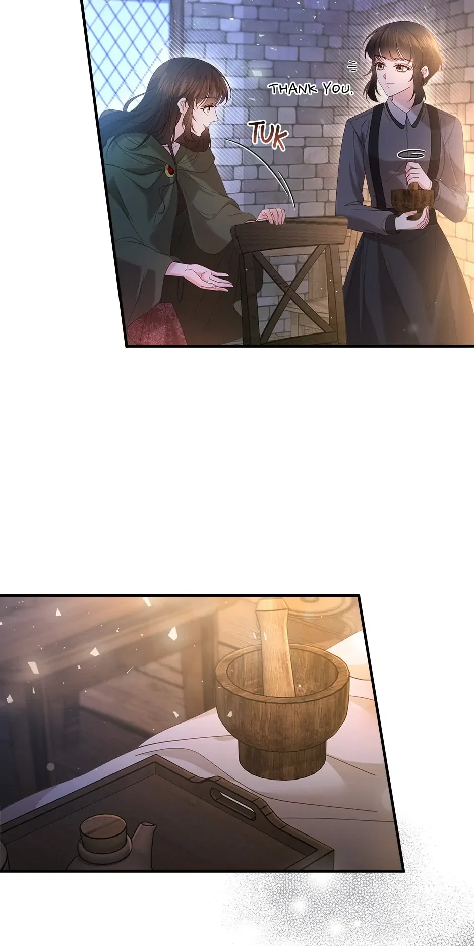 The Prince’s Personal Physician Chapter 60 – Page 15