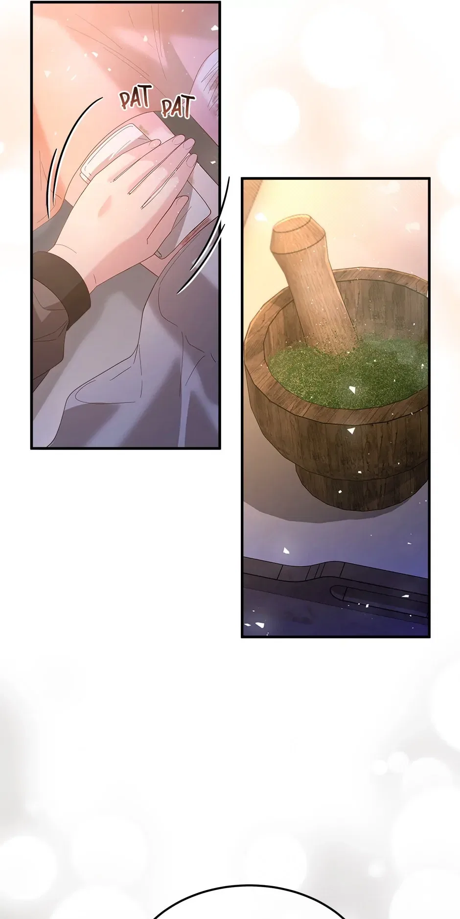 The Prince’s Personal Physician Chapter 60 – Page 18
