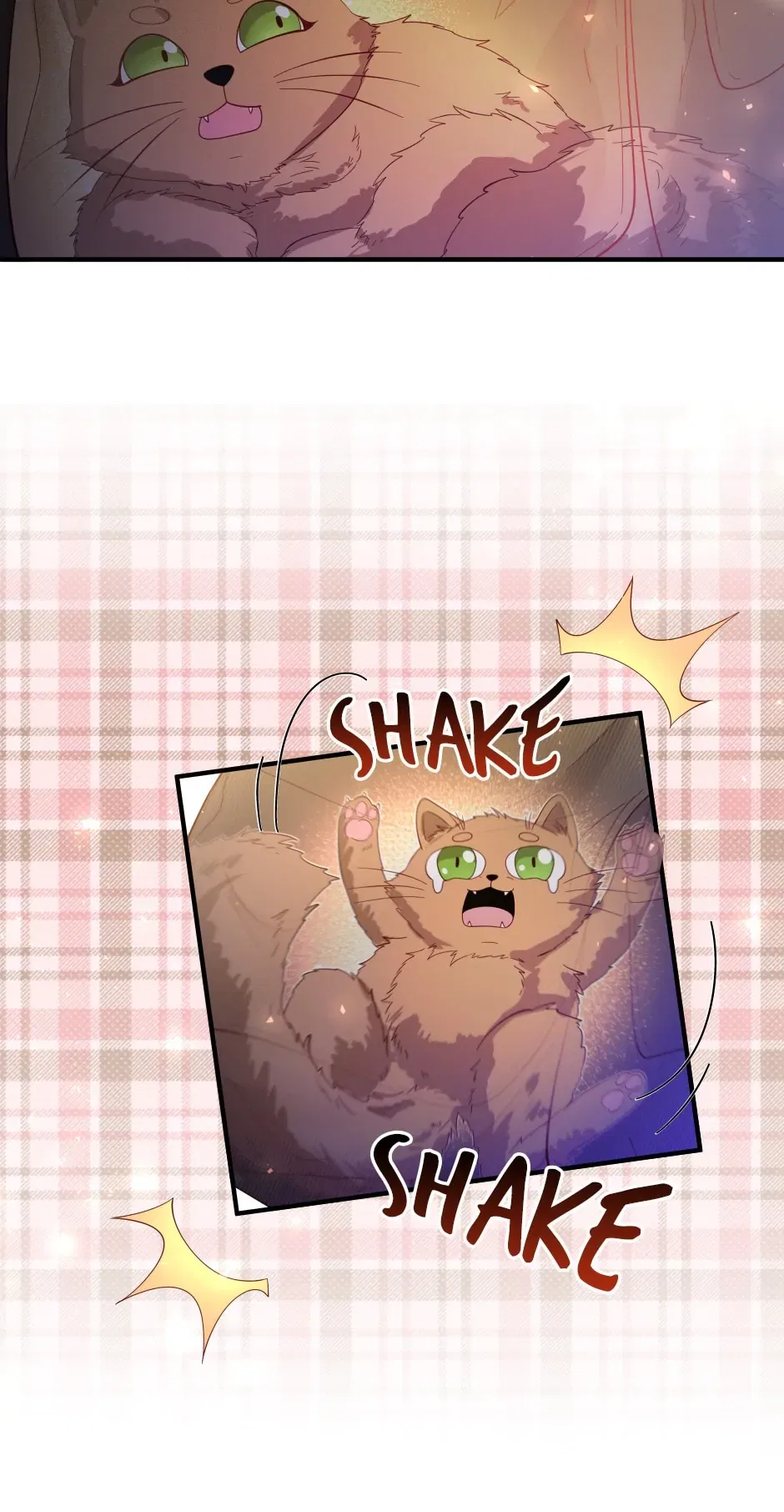 The Prince’s Personal Physician Chapter 55 – Page 14