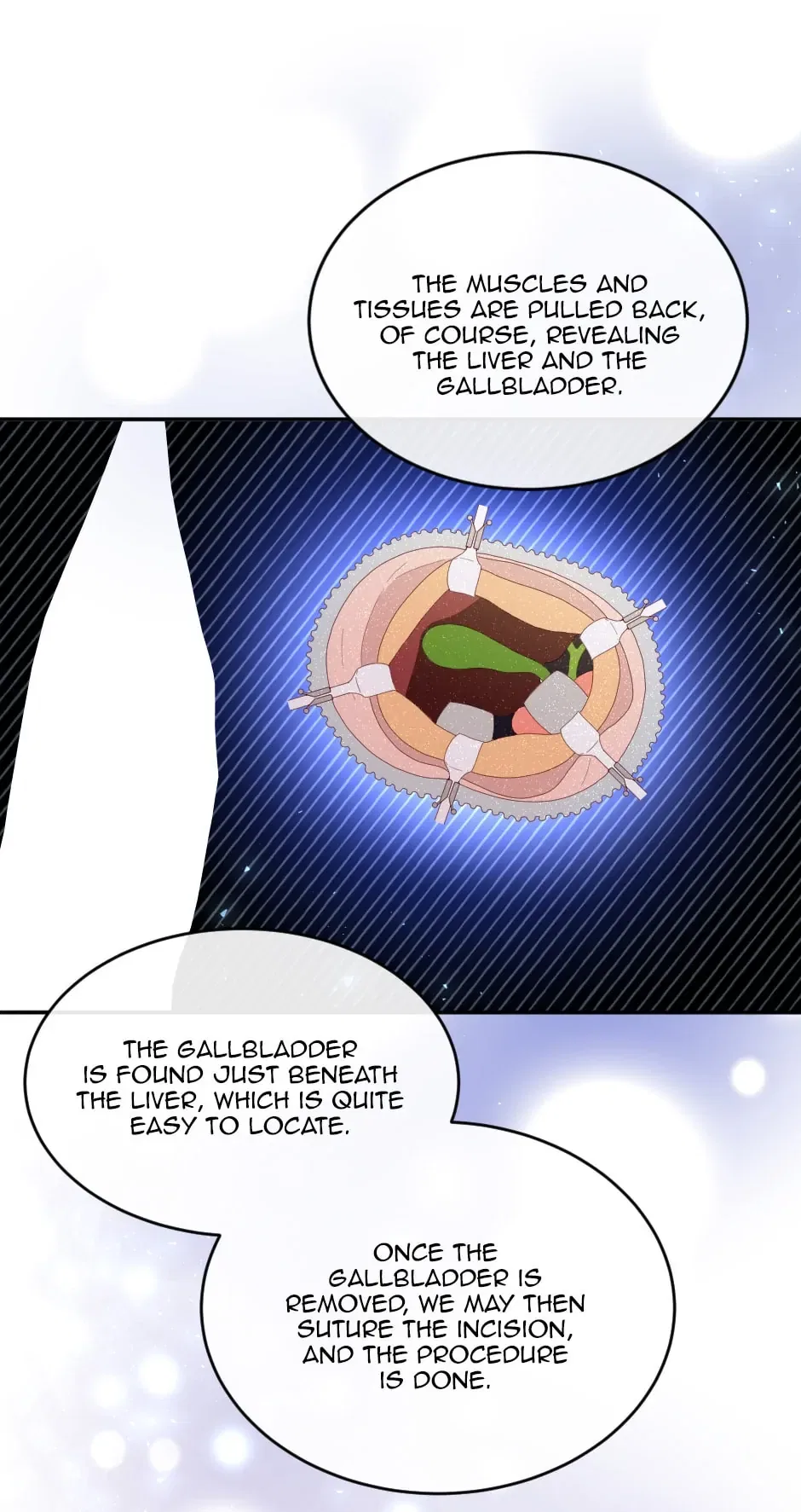 The Prince’s Personal Physician Chapter 51 – Page 47