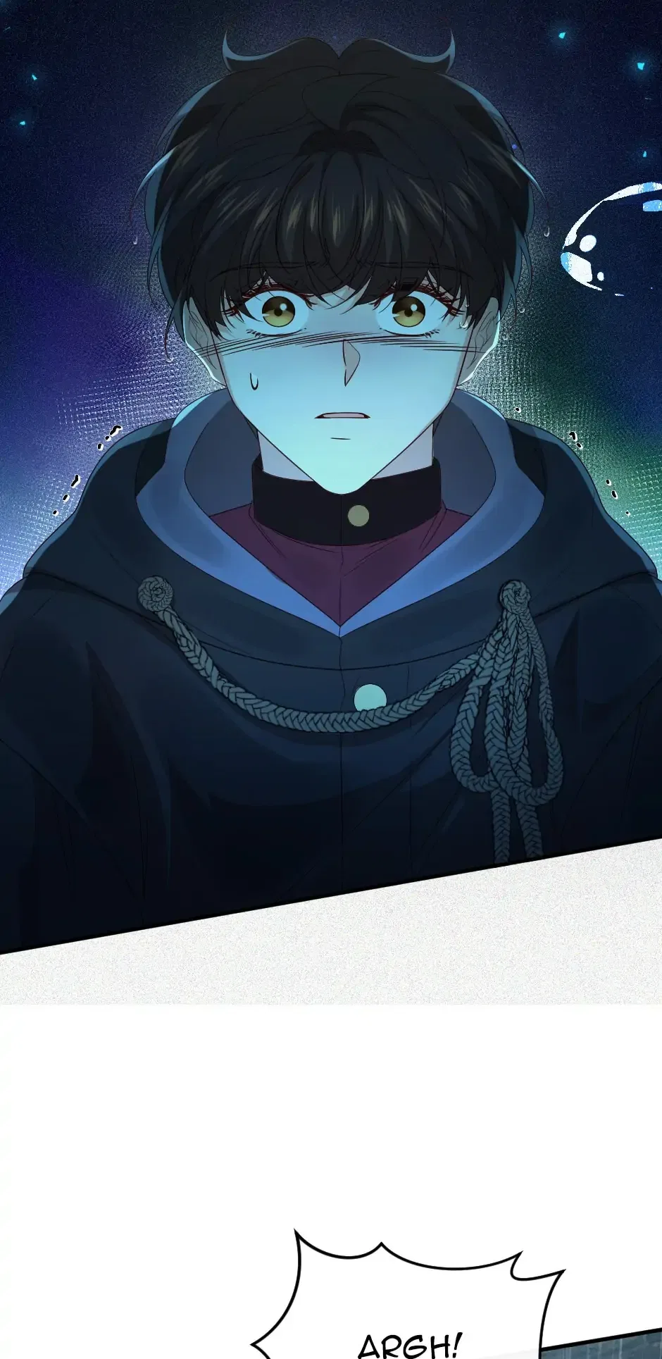 The Prince’s Personal Physician Chapter 49 – Page 12